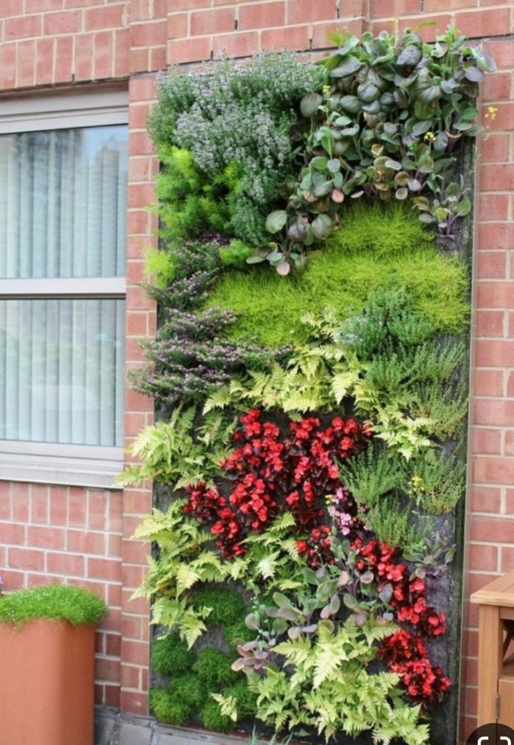 چگونه در منزل دیوار سبز بسازیم؟