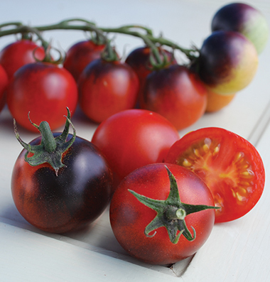 گوجه گیلاسی نیلی Indigo Cherry Drops
