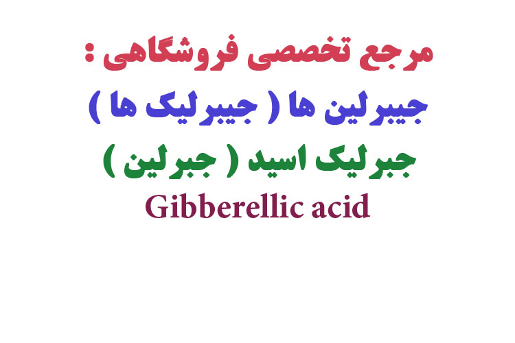 جیبرلیک اسید پودری شکل 95 درصد خلوص